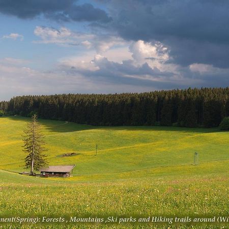 Entire House In Schwarzwald With Mountain View, Private Gym,Sauna And Garden Unterkirnach Exterior photo