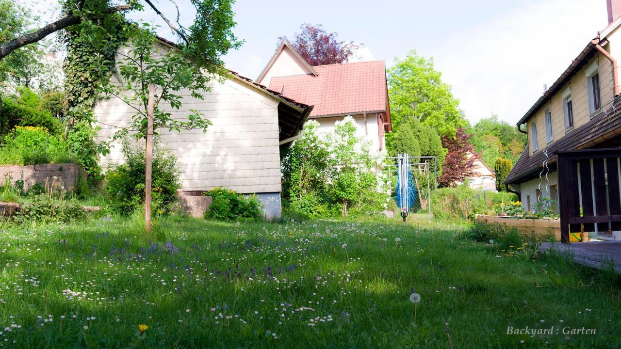 Entire House In Schwarzwald With Mountain View, Private Gym,Sauna And Garden Unterkirnach Exterior photo
