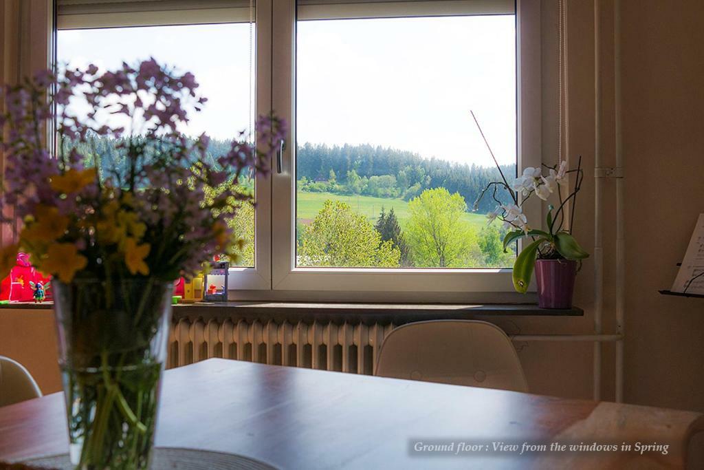 Entire House In Schwarzwald With Mountain View, Private Gym,Sauna And Garden Unterkirnach Exterior photo