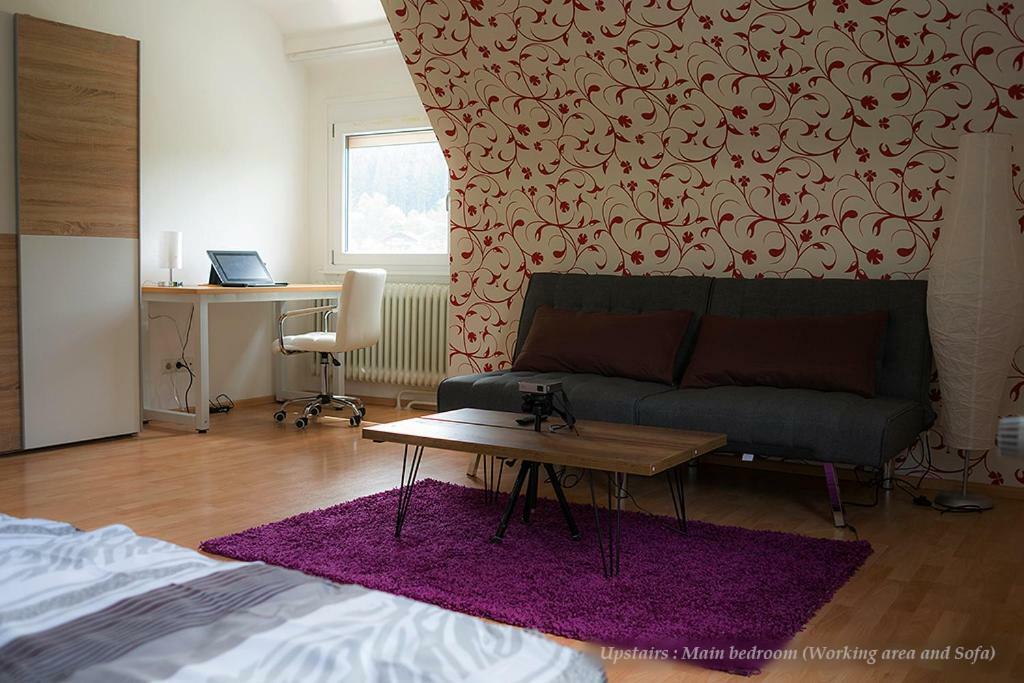 Entire House In Schwarzwald With Mountain View, Private Gym,Sauna And Garden Unterkirnach Exterior photo